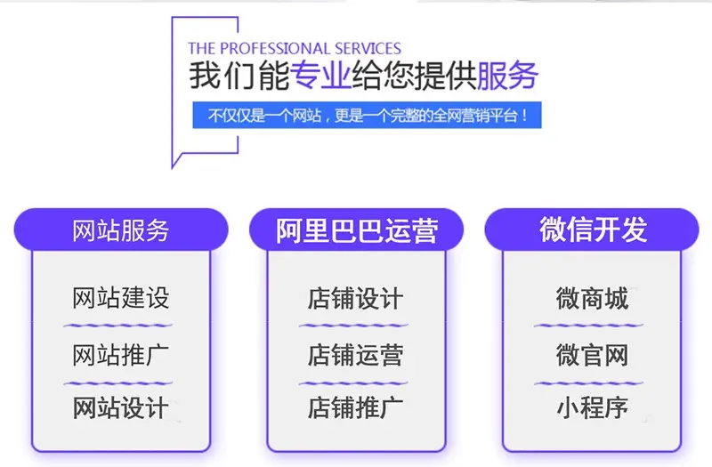营销型网站定制